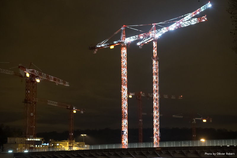 Grues de l'île Seguin Grues de l'île Seguin